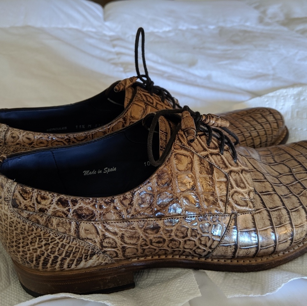 Beautiful alligator Mezlan Hercules shoes